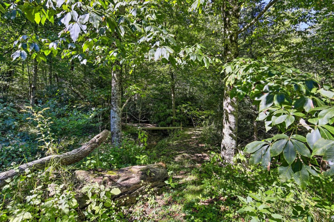 Dog-Friendly Cabin, 9 Mi To Sugar Mountain Resort 班纳埃尔克 外观 照片